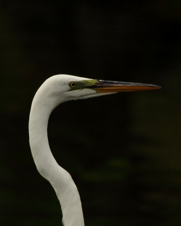2013 05 11 IMG 06429e